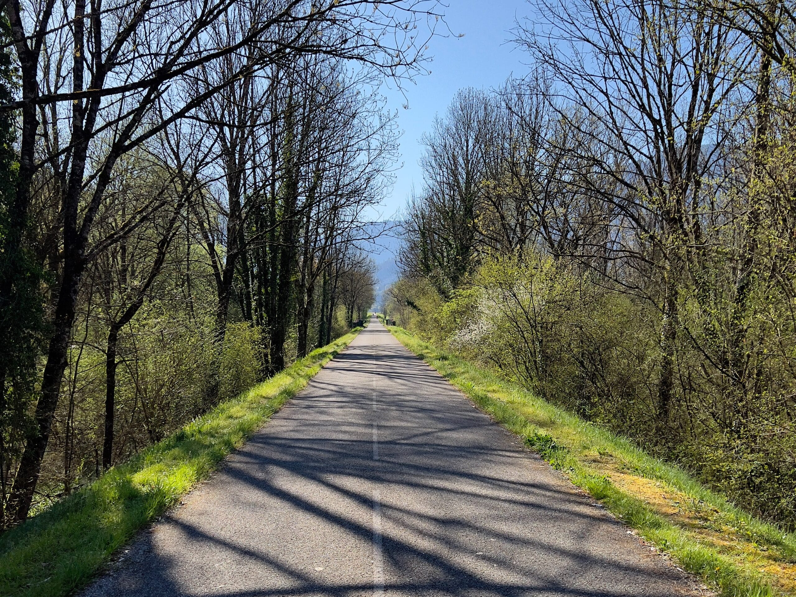 Sur la piste au soleil