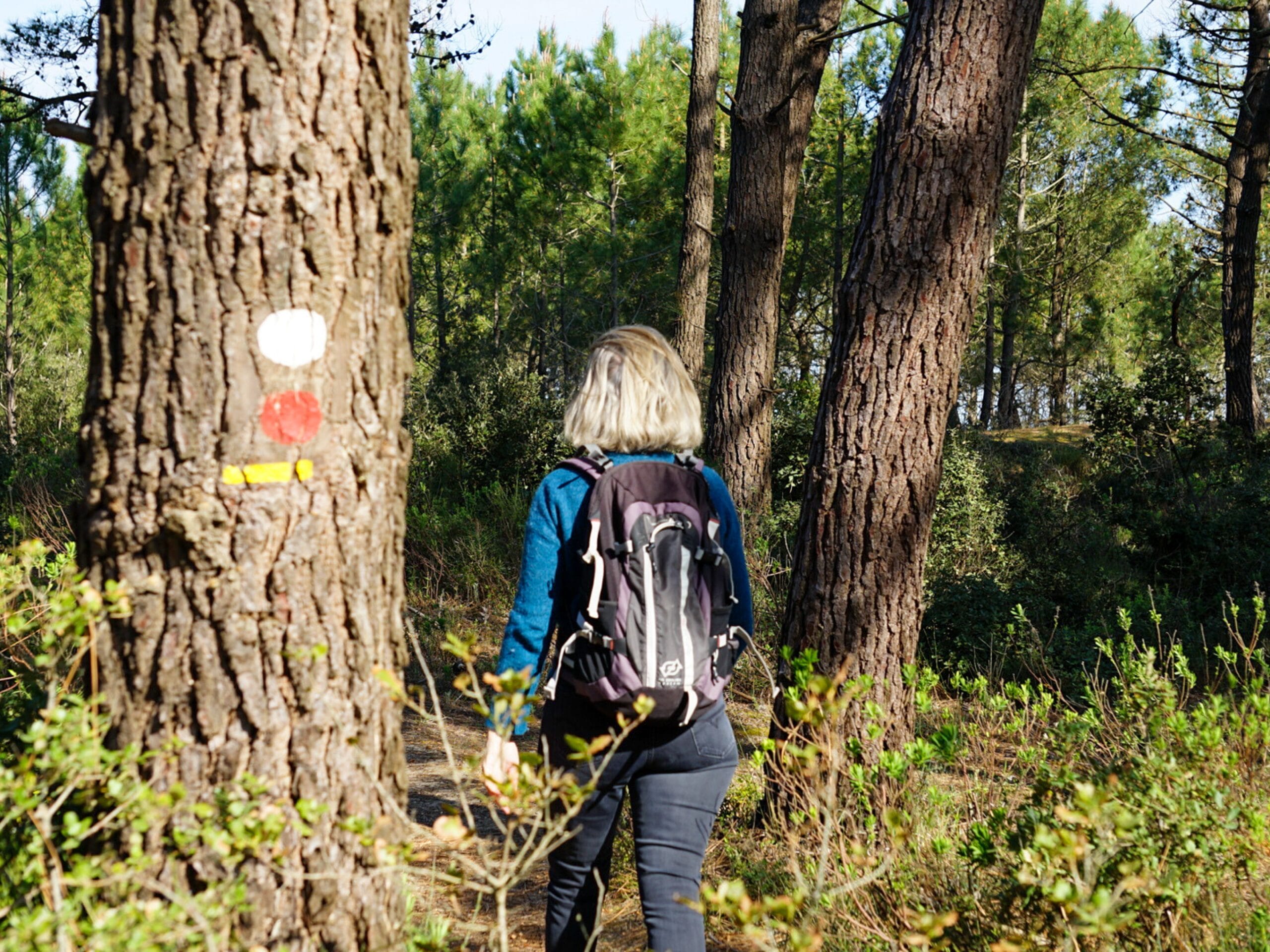 Forêt domaniale de St Trojan-les-bains