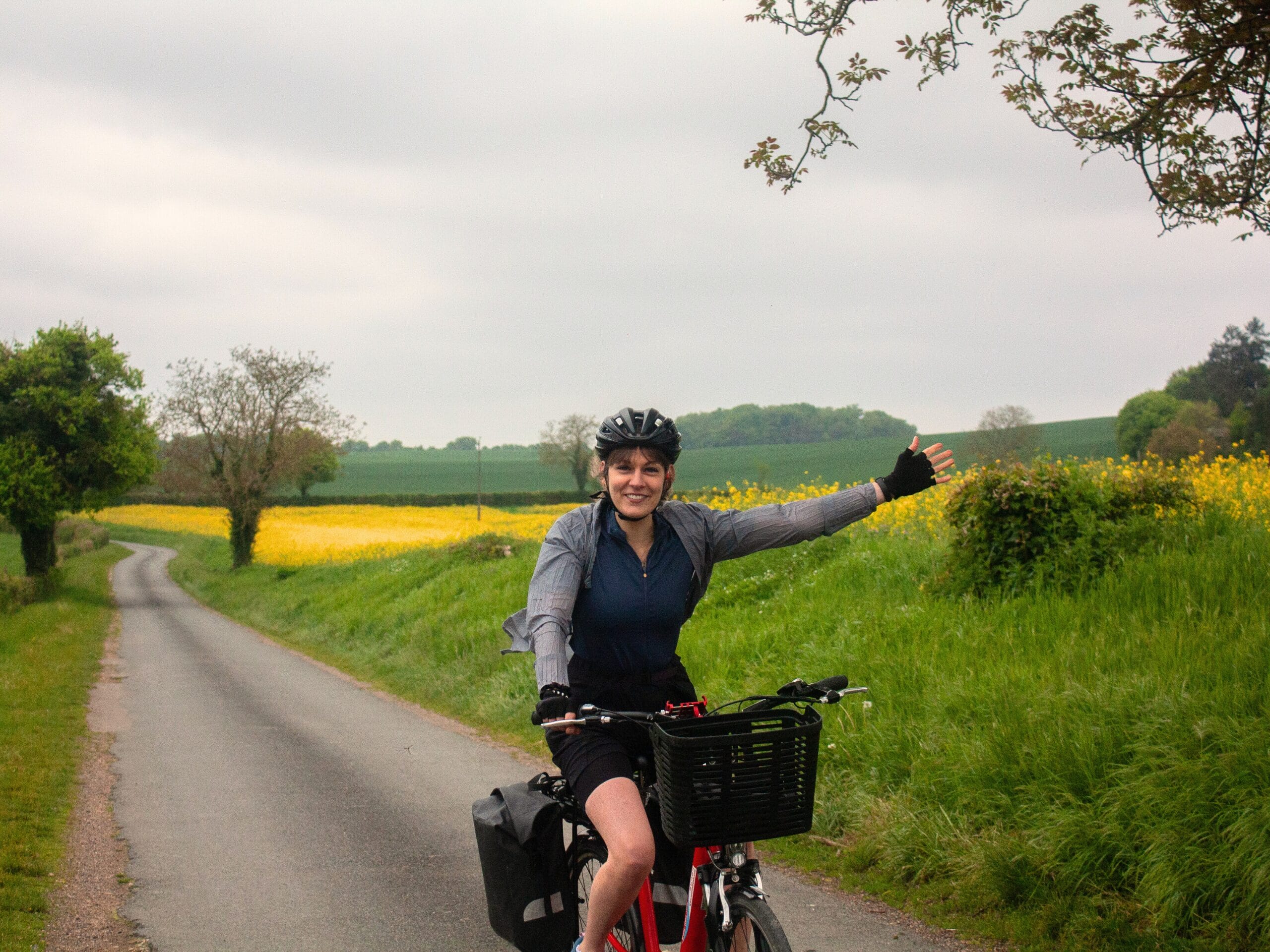 Sur la route entre les champs de Colza