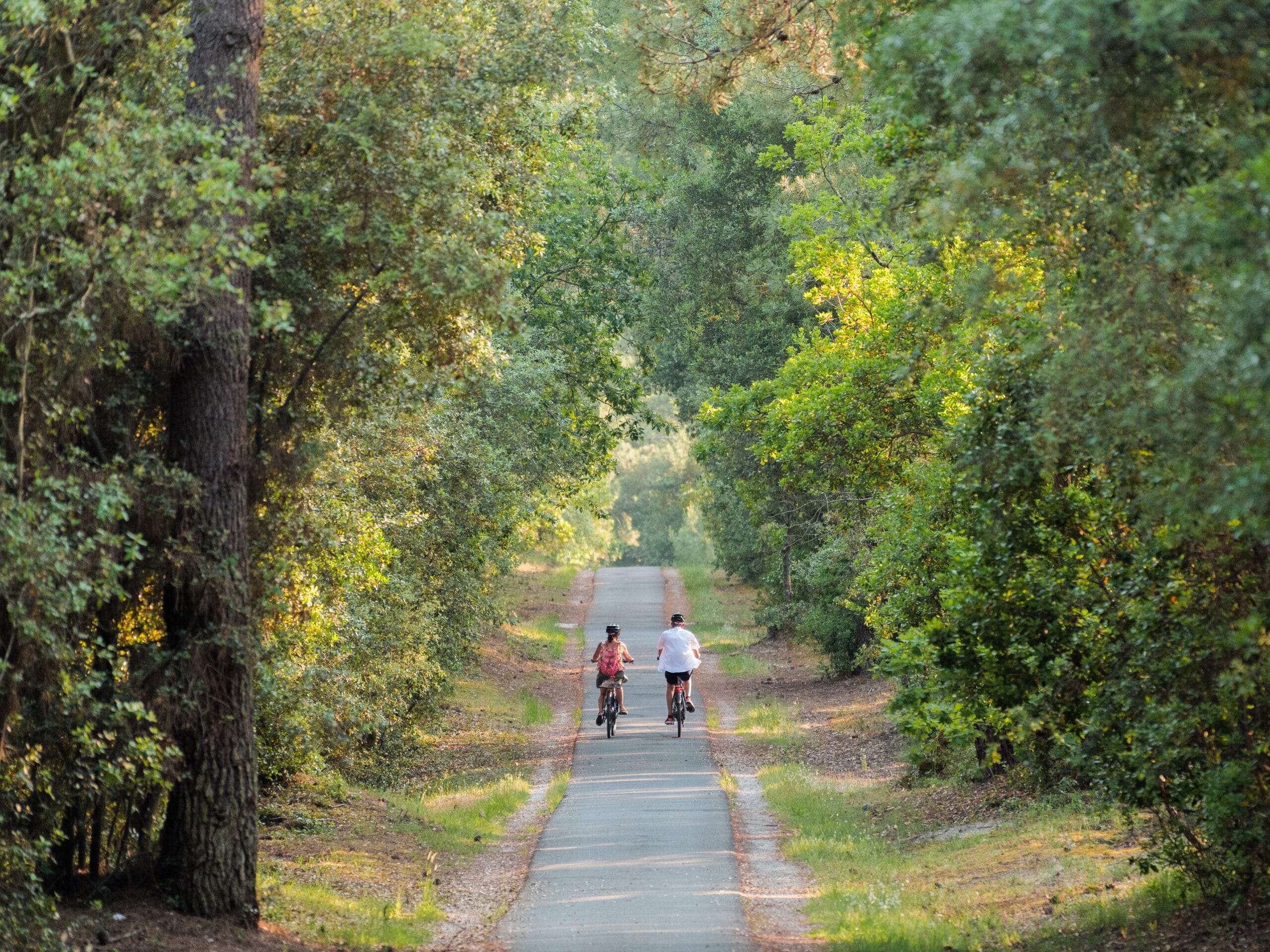 vélo médoc atlantique 