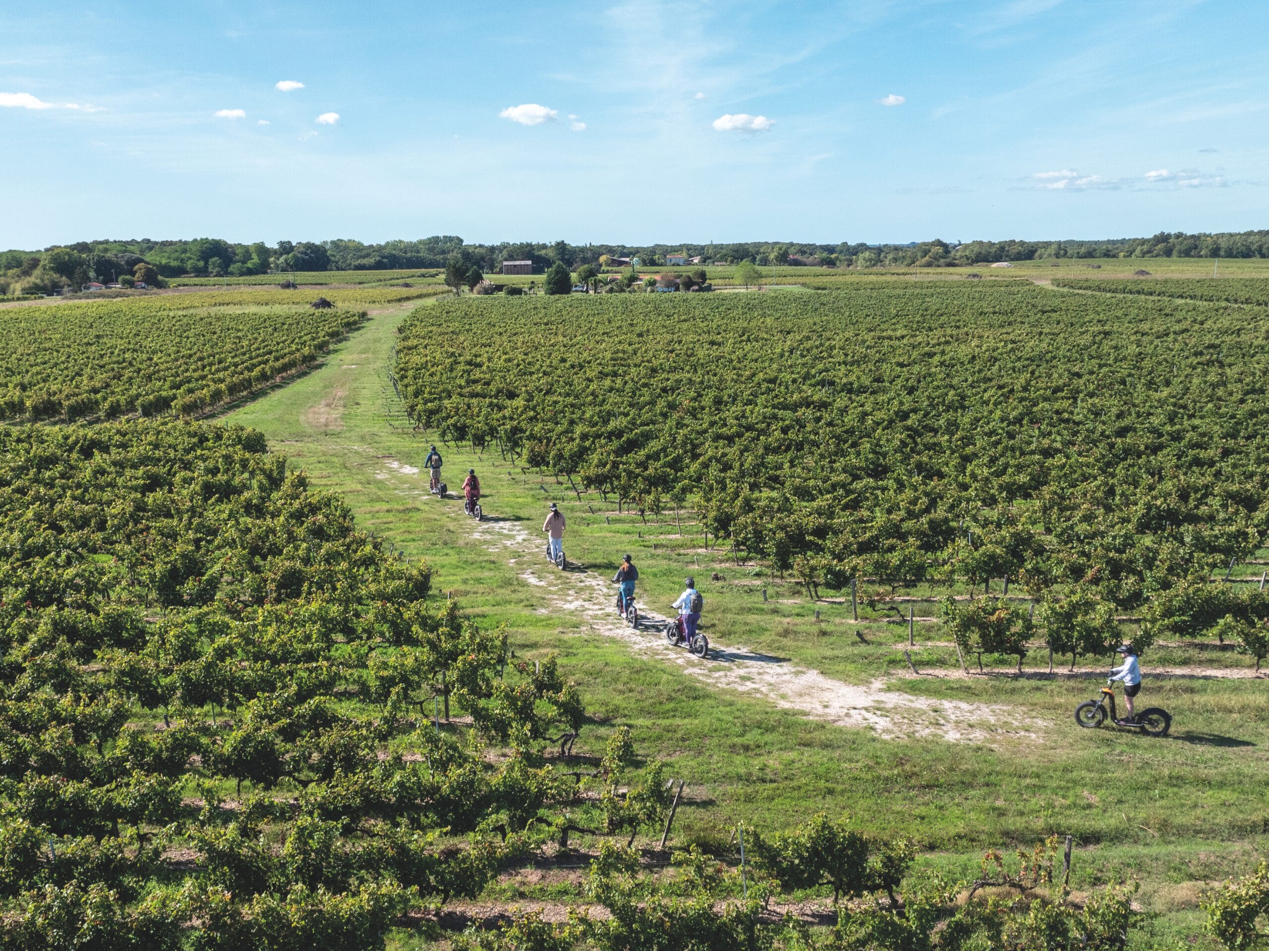 vignoble médoc atlantique (6)