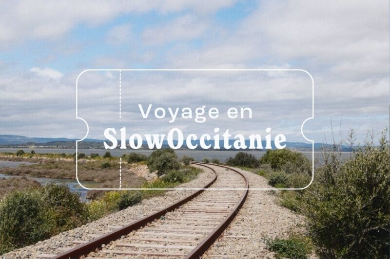 cover topo slowccitanie