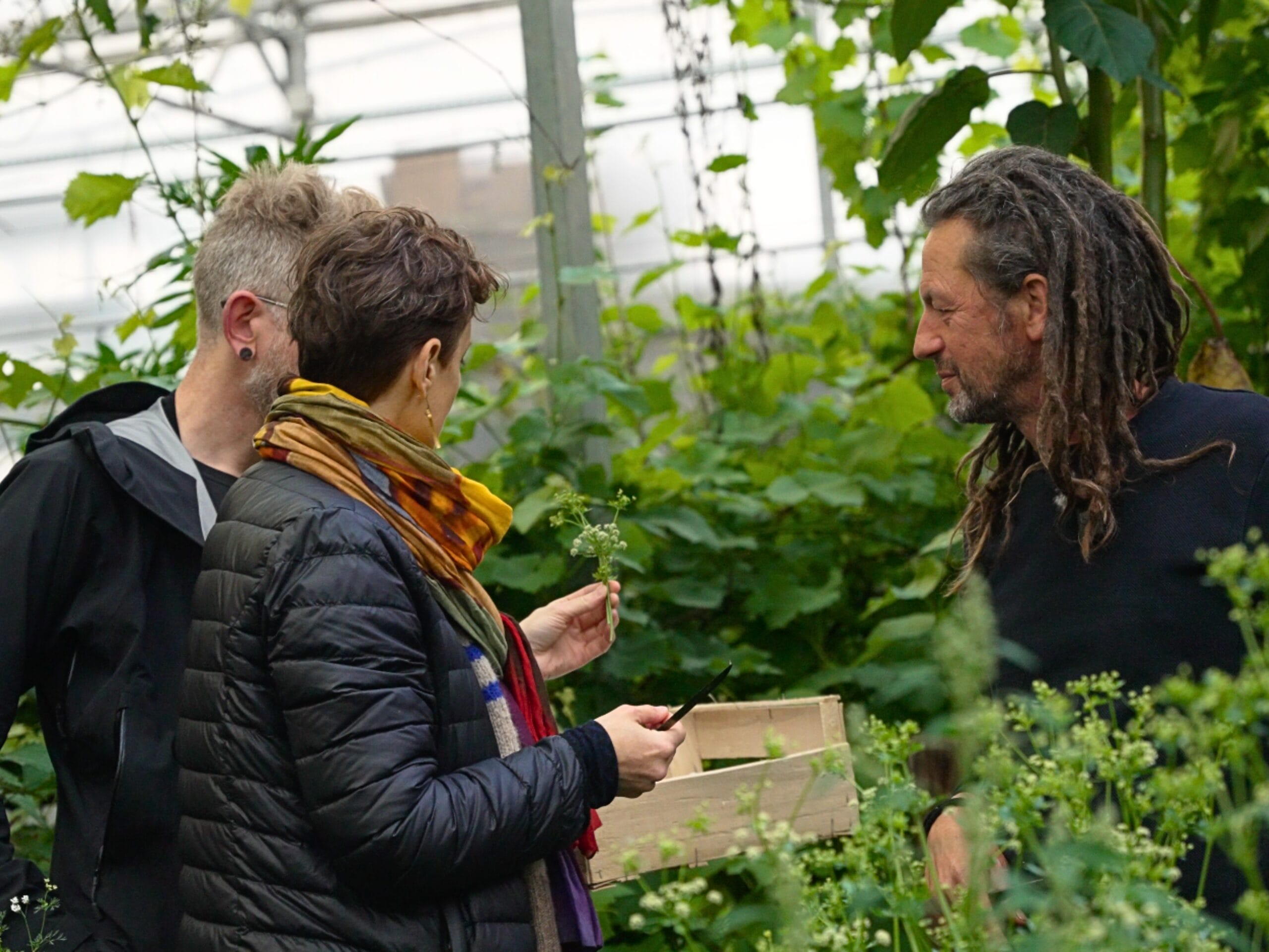 Trois personnes dans une serre botanique à la recherche de plantes et fleurs aromatiques. 