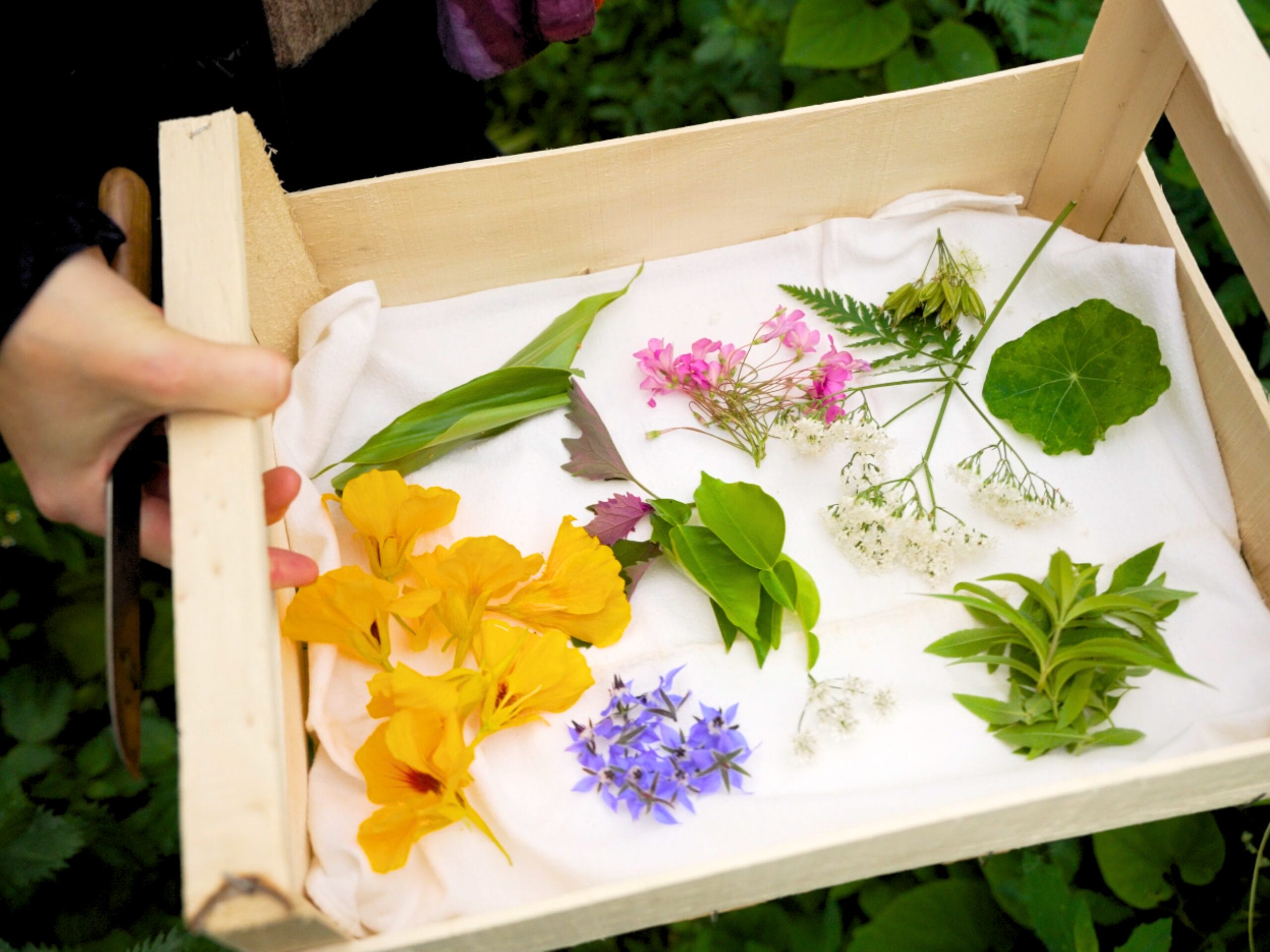 Une cagette en bois avec des plantes et des fleurs commestibles à l'intérieur.