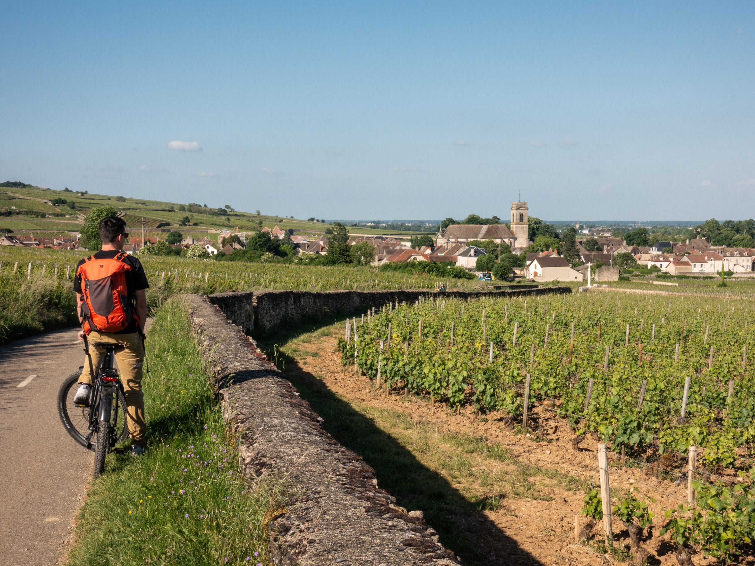 en vélo dans les vignes