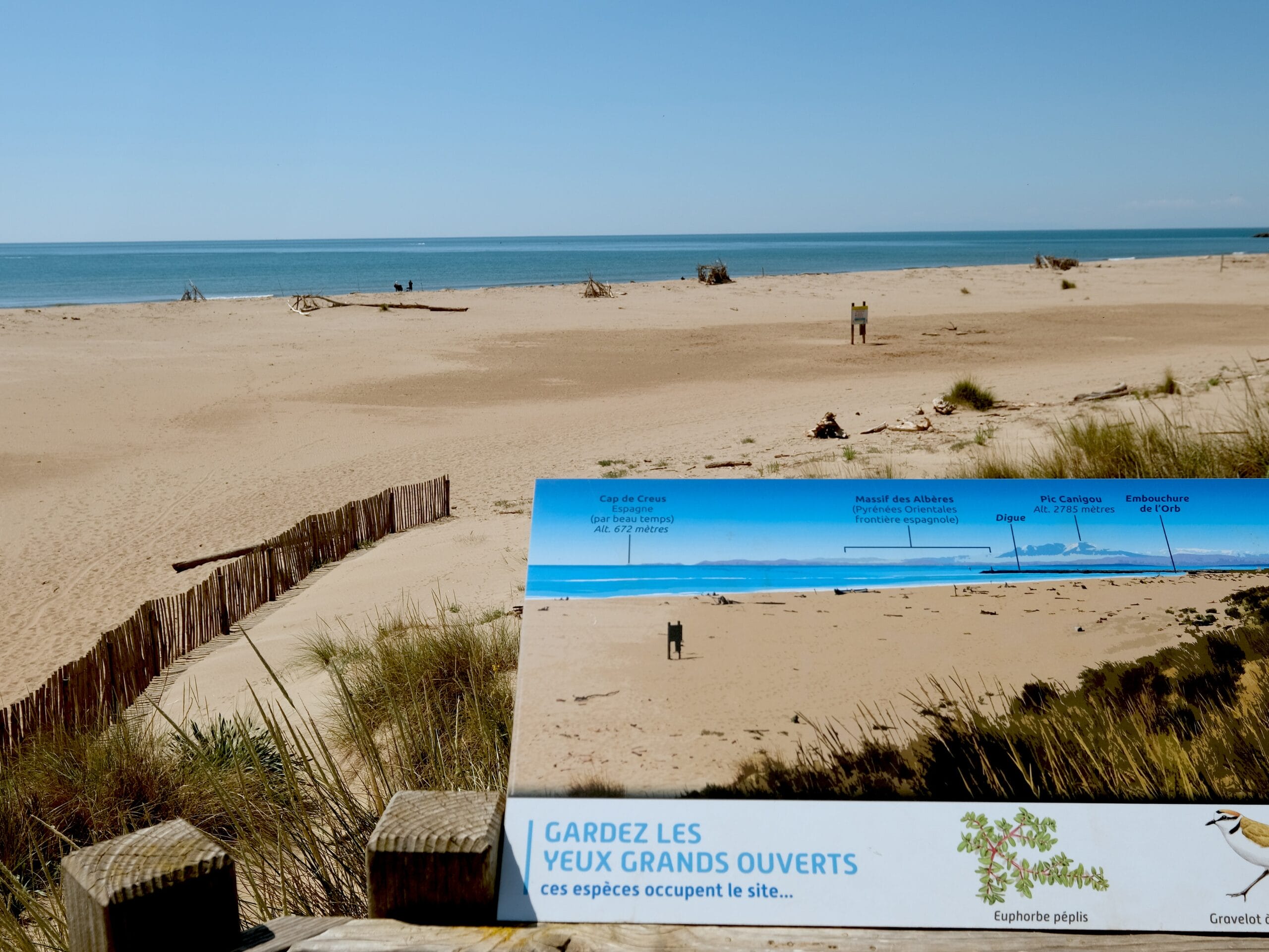 plage