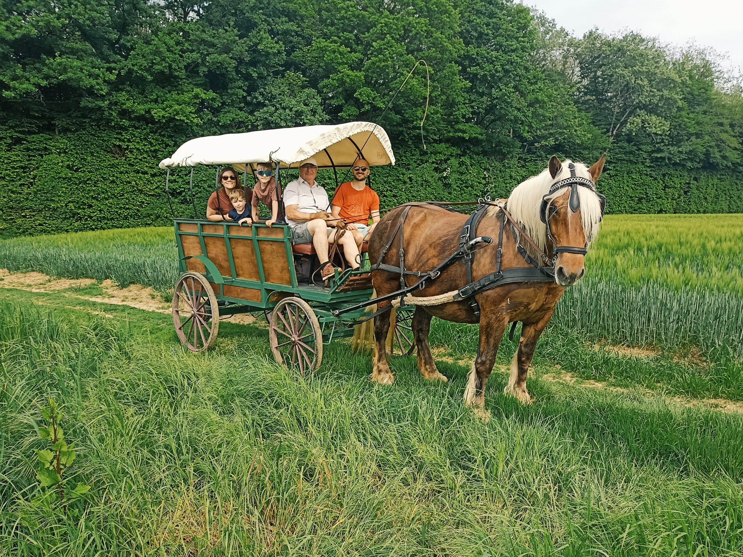 Tour en calèche