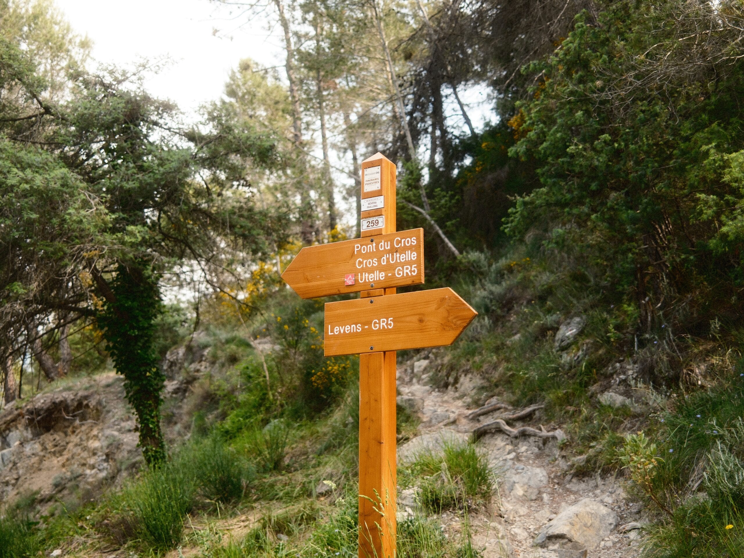 Arrivée à Levens, panneau GR5