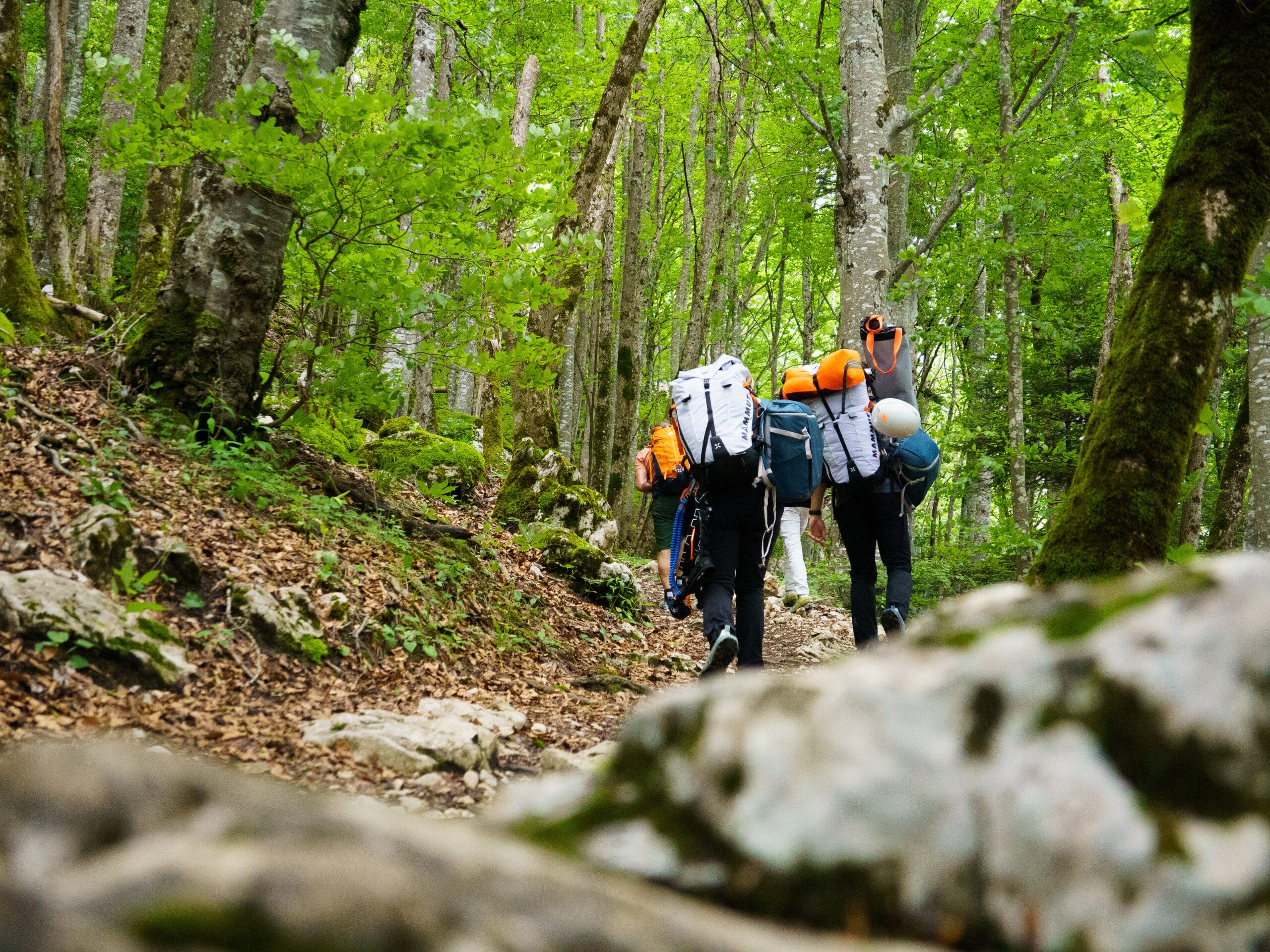 En route pour le Mont Baron