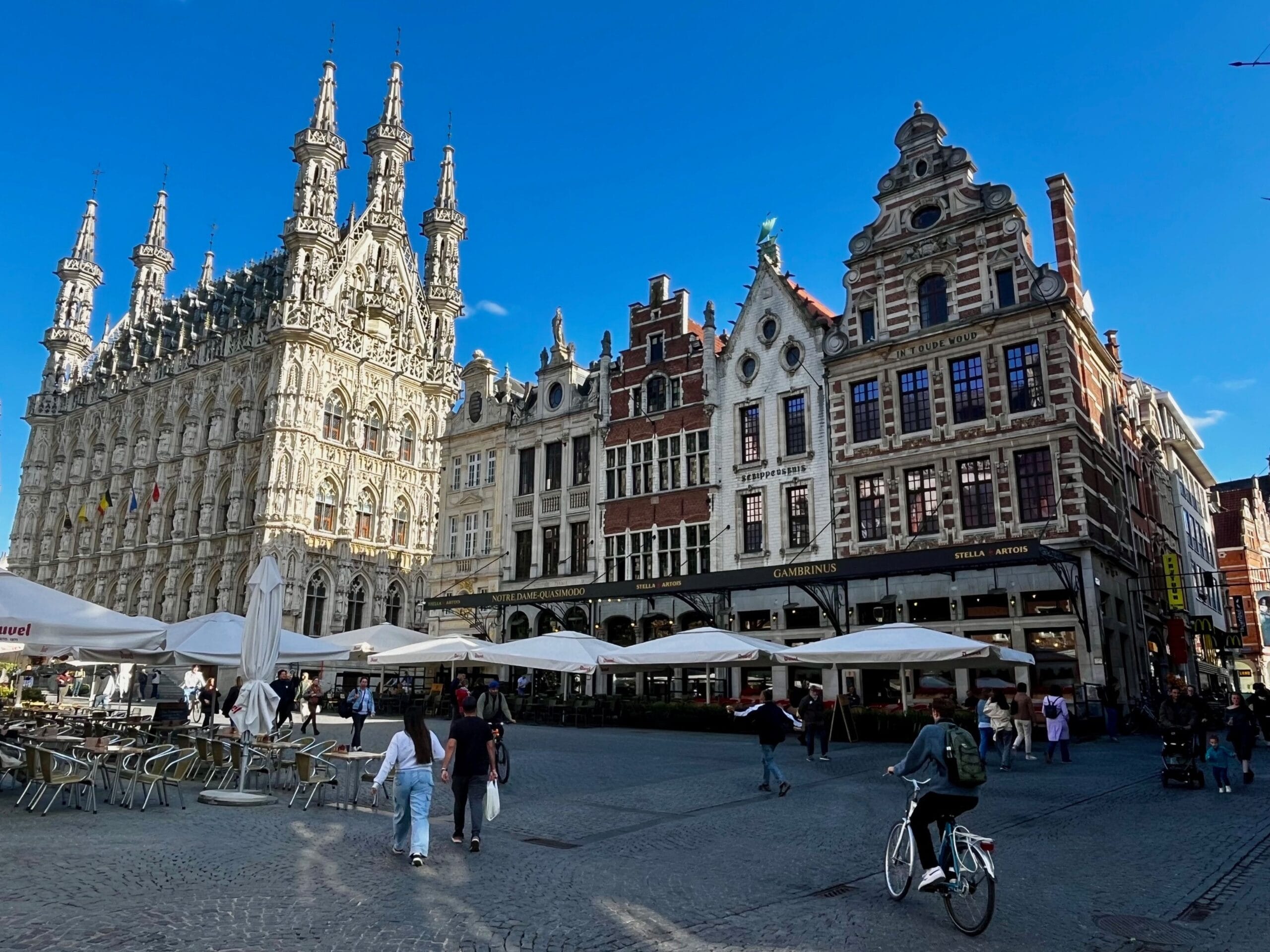 TOPO LEUVEN