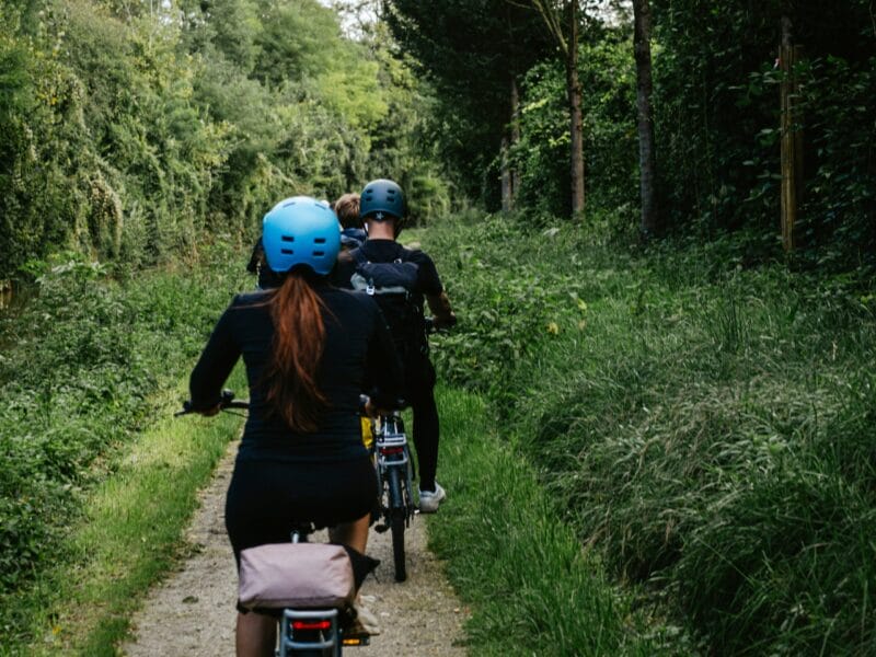 Cyclistes dans une forêt.