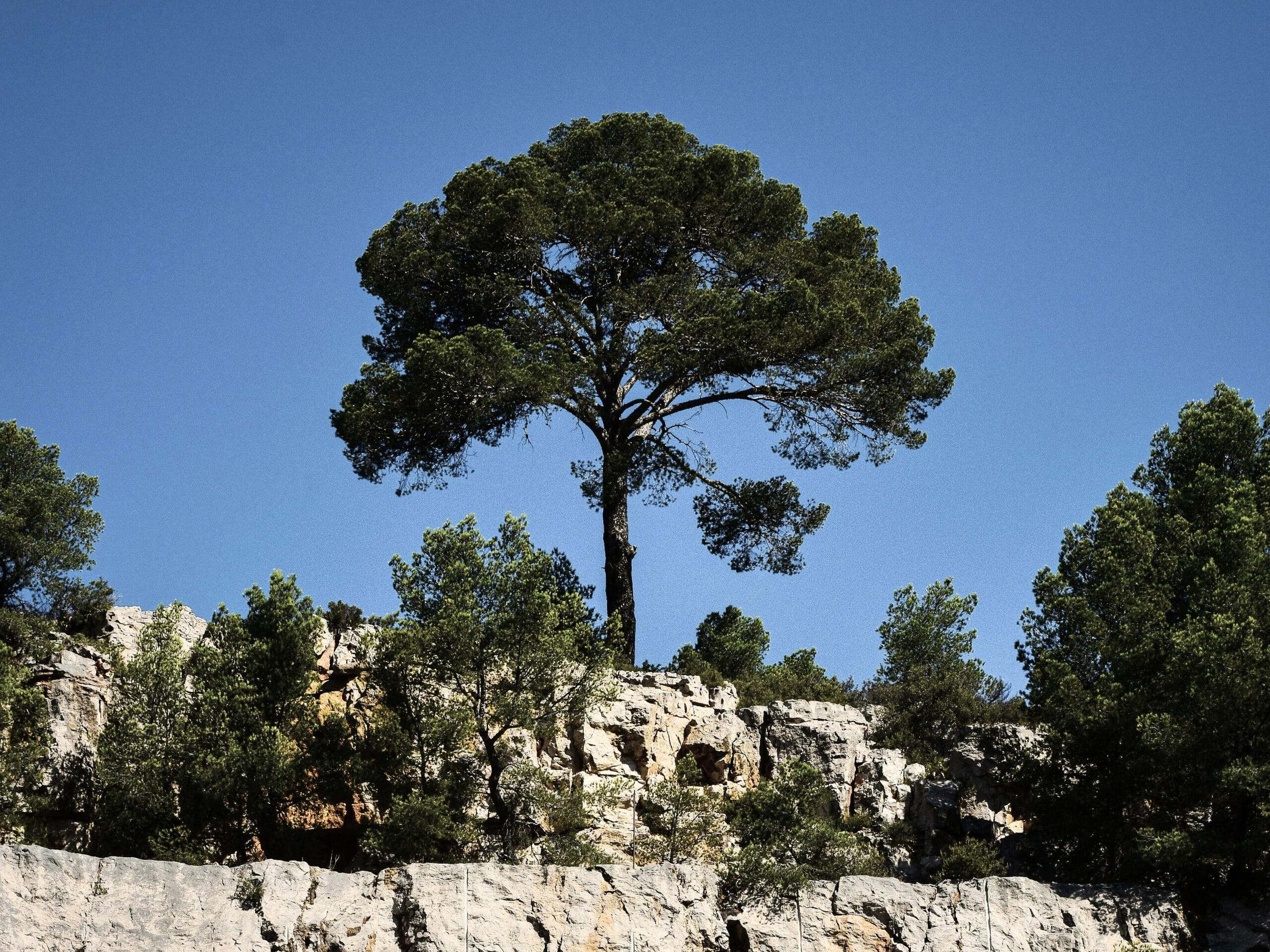 Un paysage montagneux de Provence 