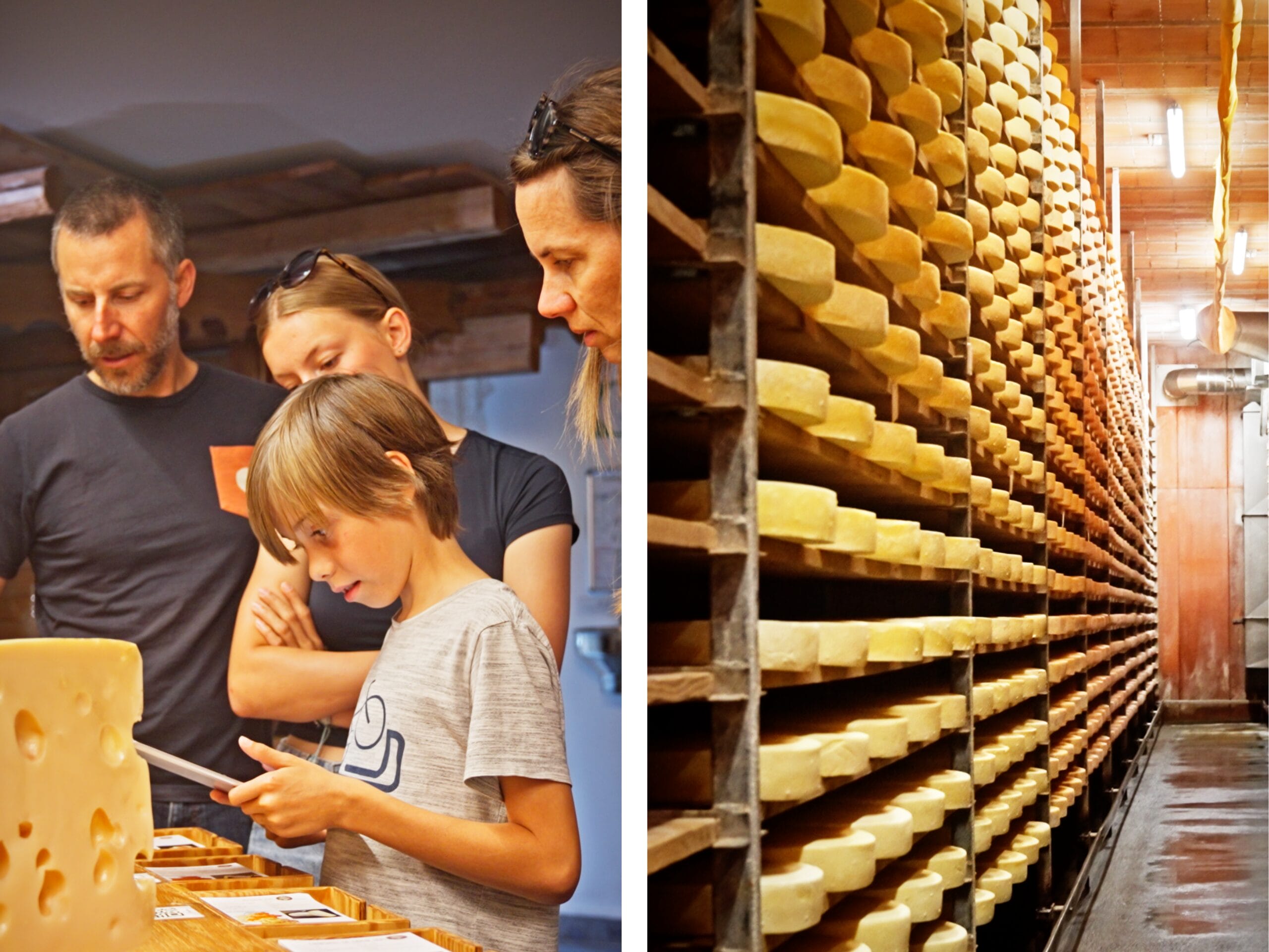 Dégustation fromage