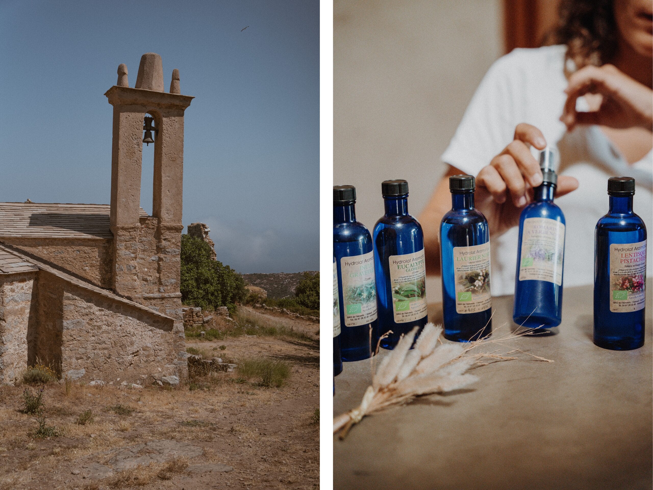 Visite de ruines et distillerie