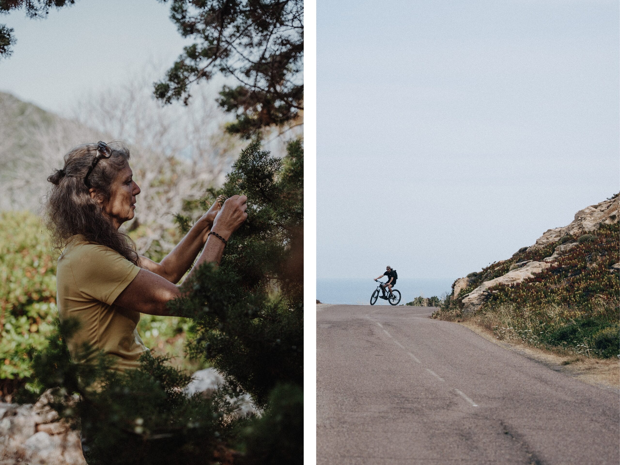 À vélo dans les hauteurs de Corse