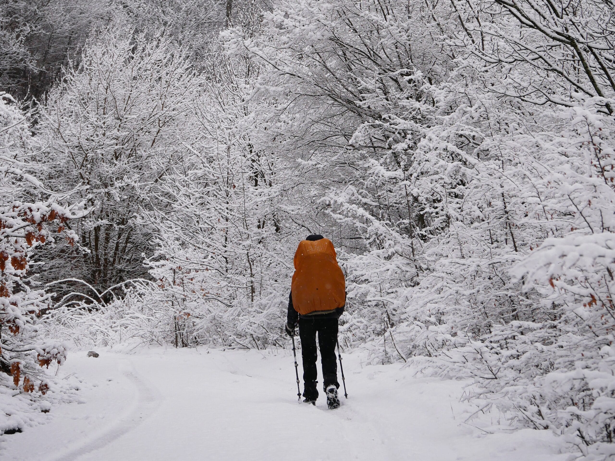 Rando dans la neige