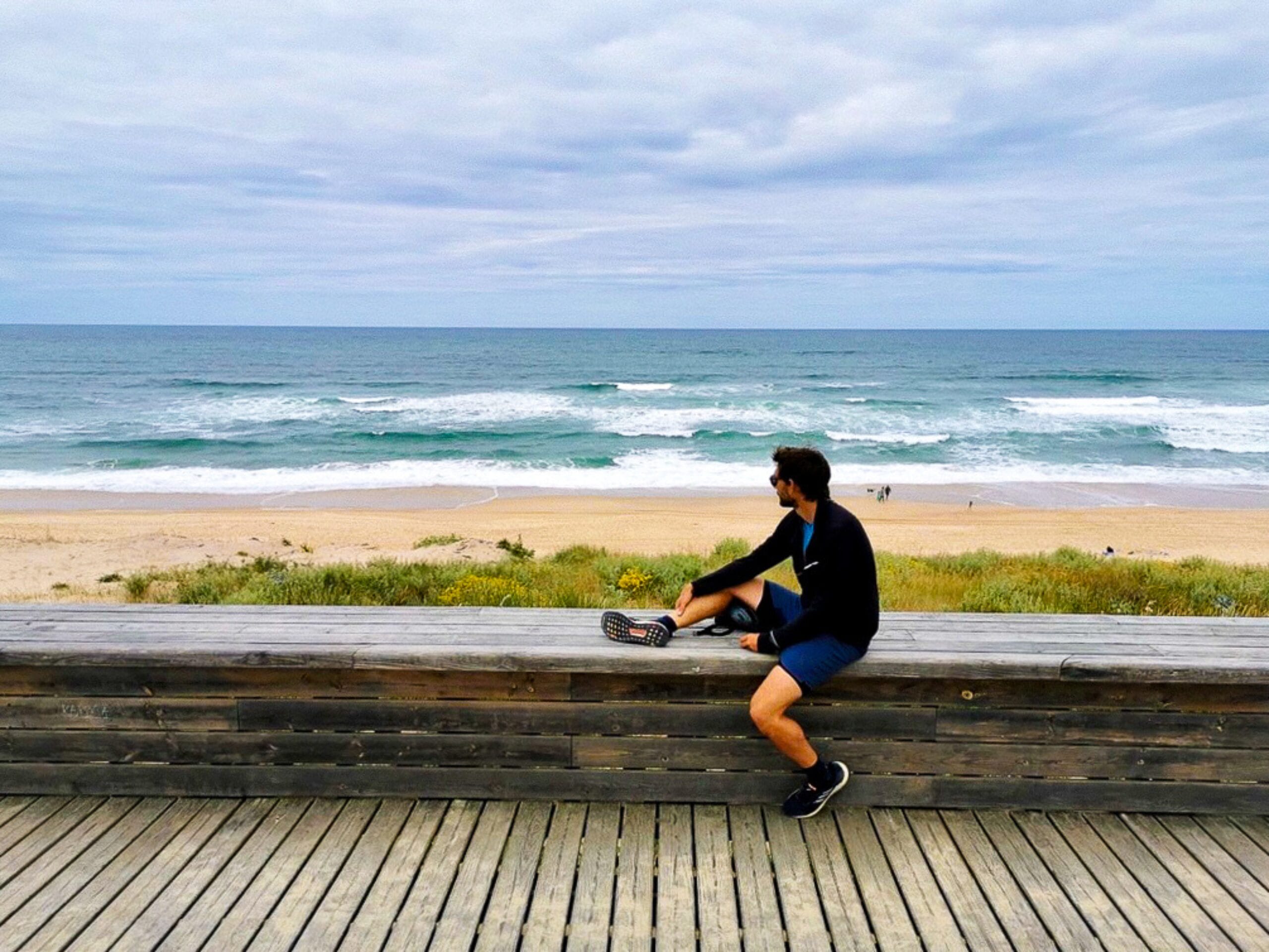 Macareux devant la mer avec un phare au loin
