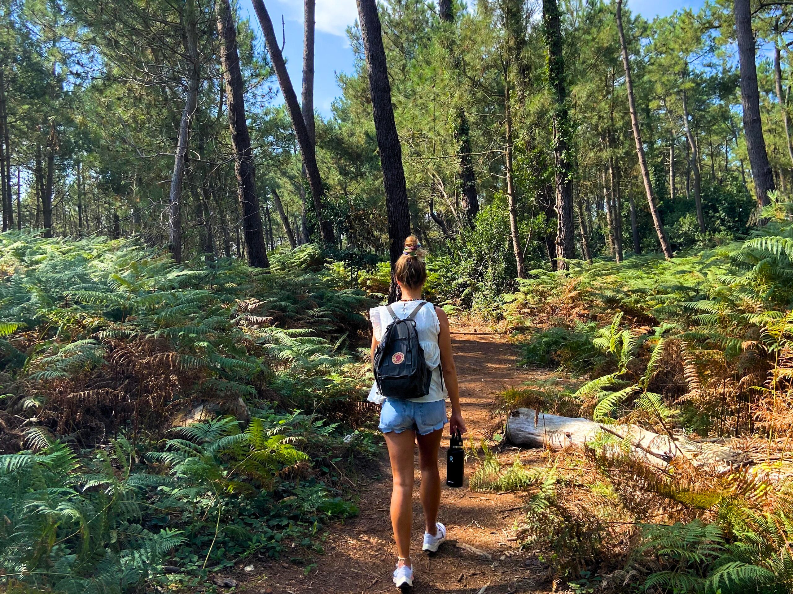 Emeline (Ecureuil) sur le sentier du GR34 en Bretagne. 